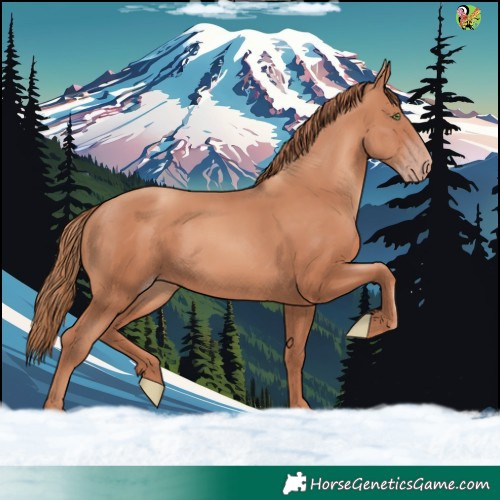 Horse Color:Gold Champagne