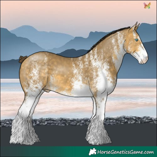 Horse Color:White Spotted Sable Cream Champagne Varnish