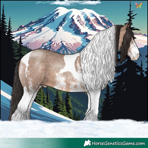 Horse Color:White Spotted Sable Champagne Tobiano Appaloosa 