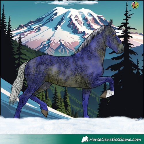 Horse Color:Watercolor Silver Brown Ice