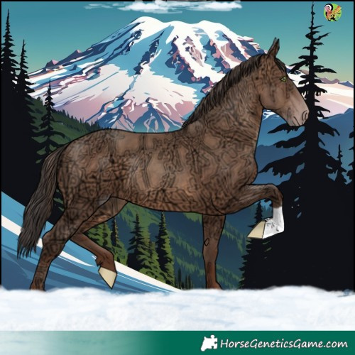 Horse Color:Sable Champagne Ice