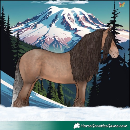 Horse Color:Sable Champagne 
