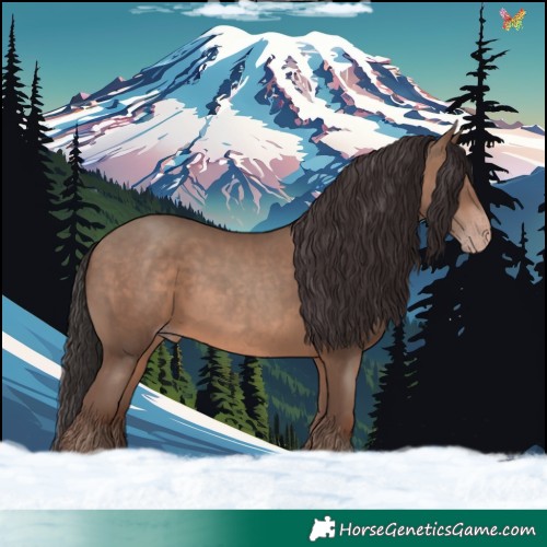 Horse Color:Sable Champagne 