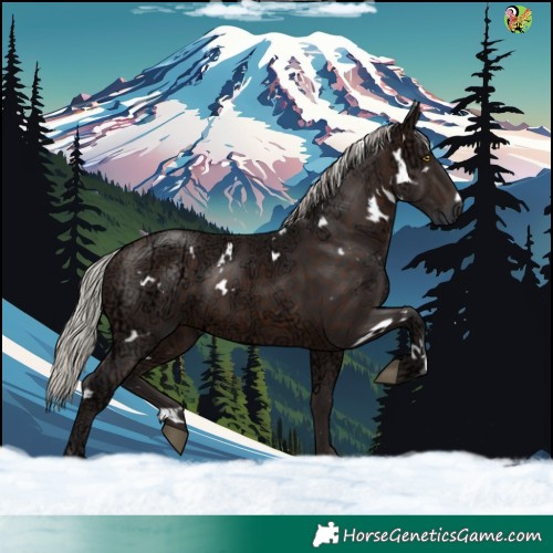 Horse Color:White Spotted Silver Brown Ice 
