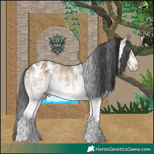 Horse Color:White Spotted Brown Dun Merle Appaloosa 
