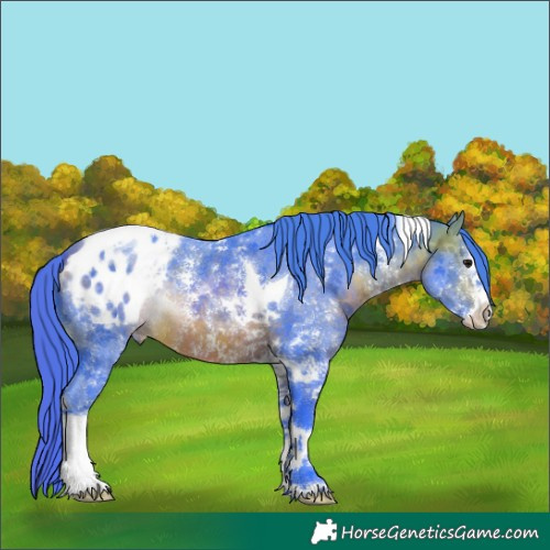 Horse Color:Watercolor Bay Sabino Tobiano Blanket 