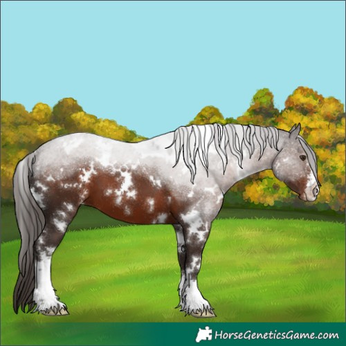 Horse Color:White Spotted Liver Chestnut Varnish