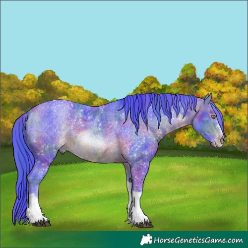 Horse Color:Nacre Watercolor Brown Sabino Tobiano 