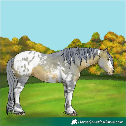 Horse Color:Watercolor Brown Sabino Tobiano Appaloosa