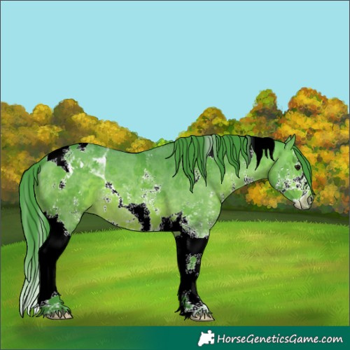 Horse Color:Watercolor Bay Sabino Splash Tobiano 