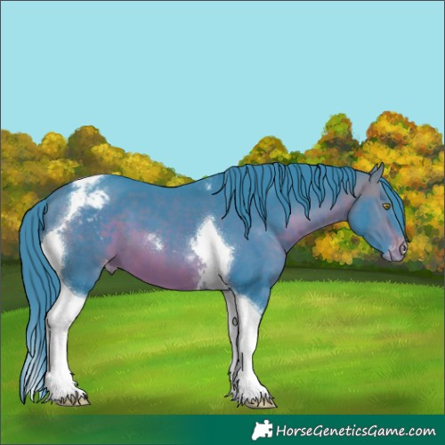 Horse Color:Watercolor Brown Tobiano Appaloosa