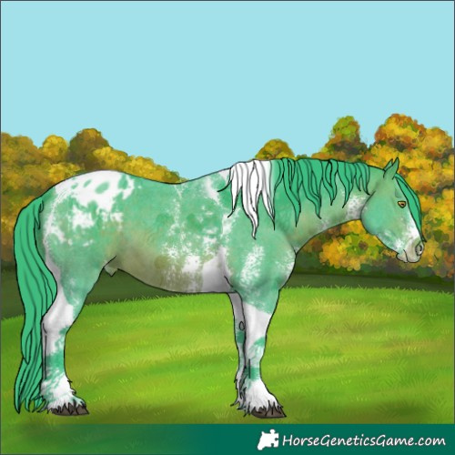 Horse Color:Watercolor Brown Sabino Tobiano Varnish 