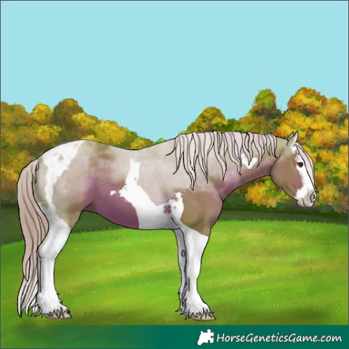 Horse Color:Watercolor Liver Chestnut Splash Tobiano