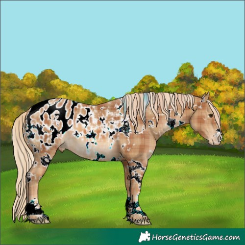 Horse Color:Plaid  White Spotted Chestnut Blanket 
