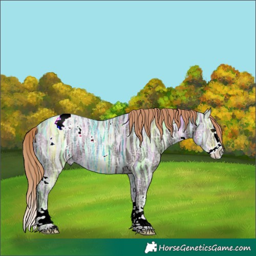 Horse Color:White Spotted Liver Chestnut Ice Splash Appaloosa