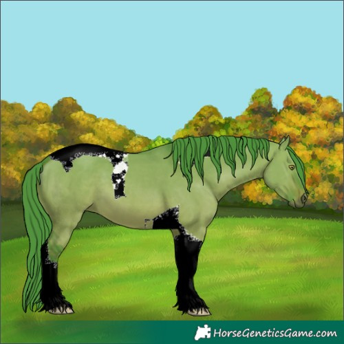 Horse Color:Watercolor Brown Dun Tobiano