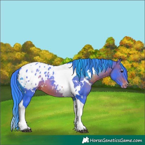 Horse Color:Watercolor White Spotted Brown Tobiano Blanket