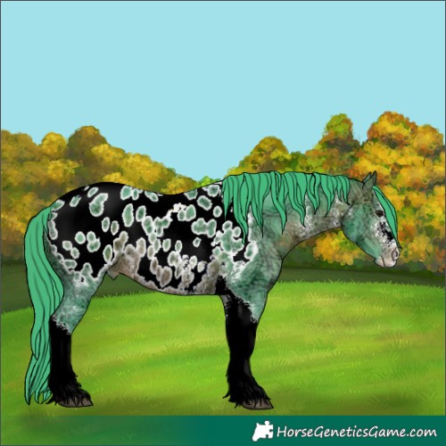 Horse Color:Watercolor Brown Ice Sabino Tobiano Appaloosa 