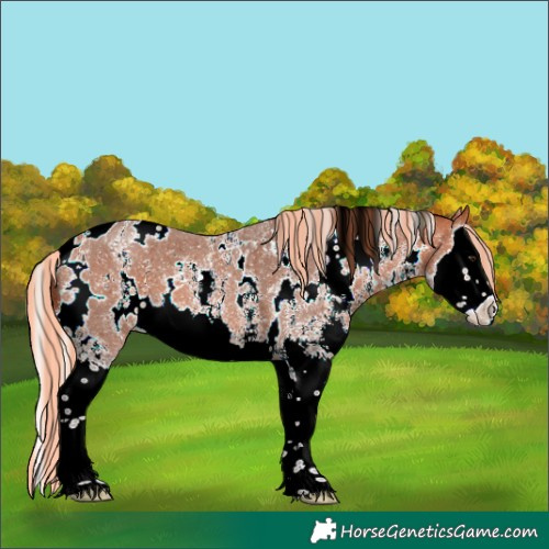 Horse Color:Painted White Spotted Silver Bay Sabino Splash 