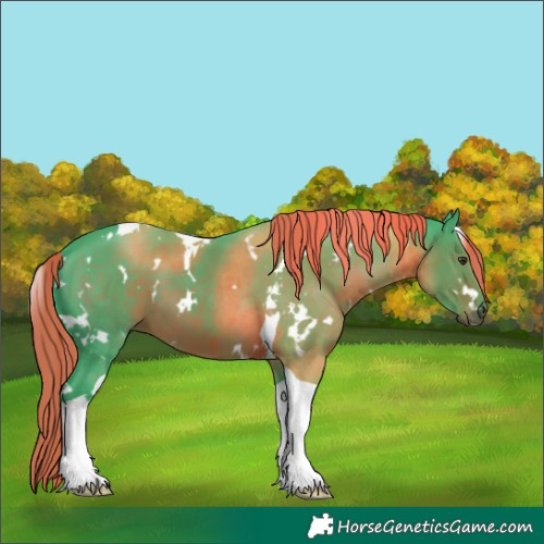 Horse Color:Watercolor White Spotted Liver Chestnut Tobiano