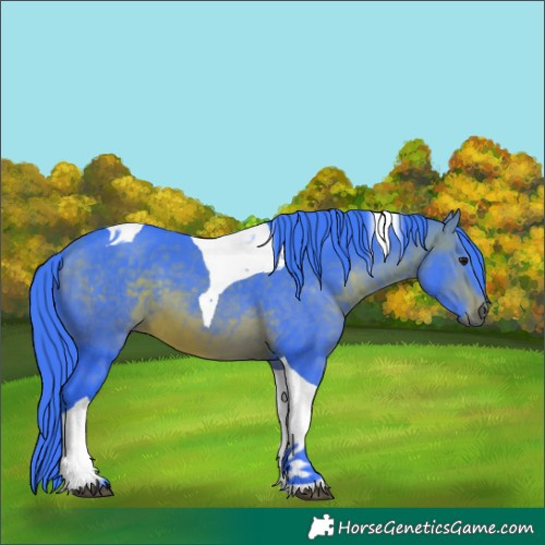 Horse Color:Watercolor Bay Tobiano 