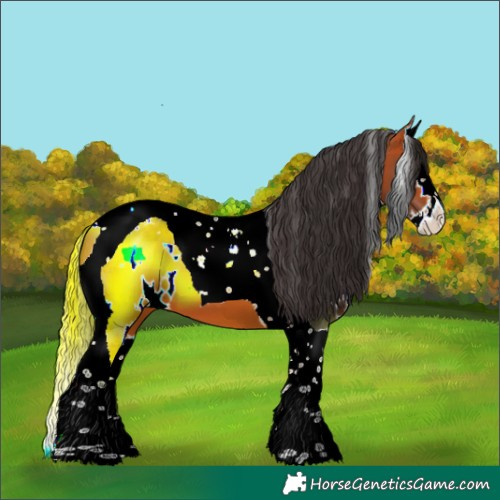 Horse Color:White Spotted Bay Splash Tobiano 
