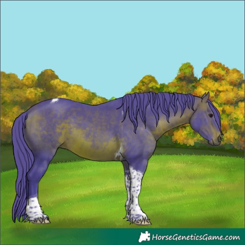 Horse Color:Watercolor Brown Tobiano 
