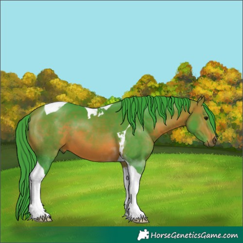 Horse Color:Watercolor Bay Tobiano 