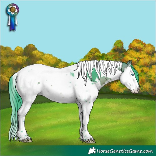 Horse Color:Watercolor White Spotted Bay Splash Tobiano 