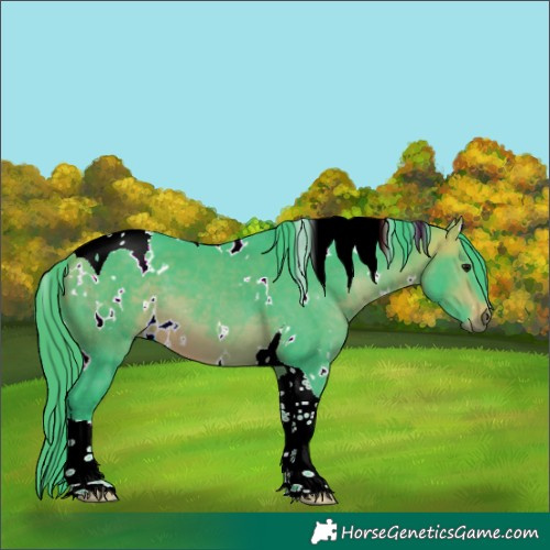 Horse Color:Watercolor White Spotted Bay Tobiano 