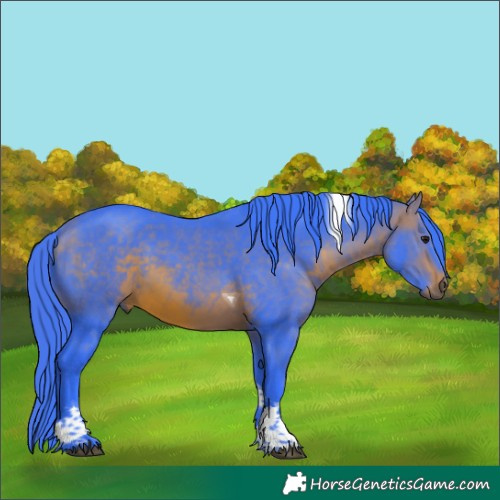 Horse Color:Watercolor Bay Tobiano 