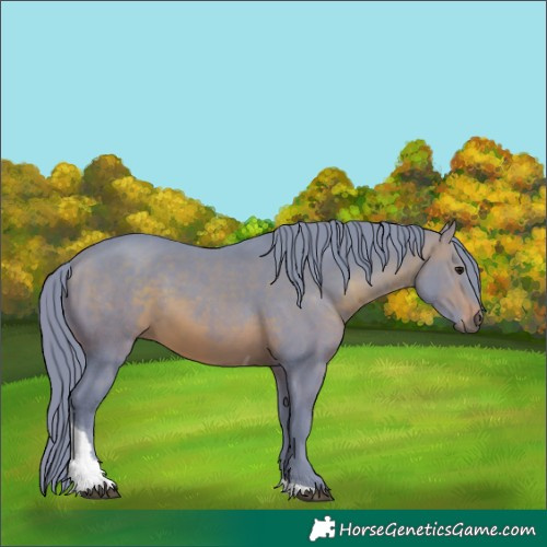 Horse Color:Watercolor Brown Tobiano
