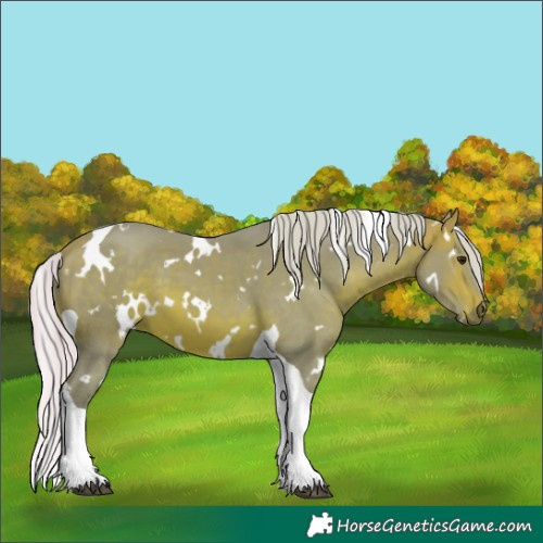 Horse Color:Watercolor White Spotted Silver Bay Tobiano 