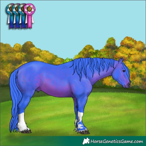 Horse Color:Watercolor Brown Tobiano