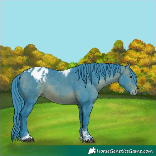 Horse Color:Watercolor Brown Tobiano Appaloosa