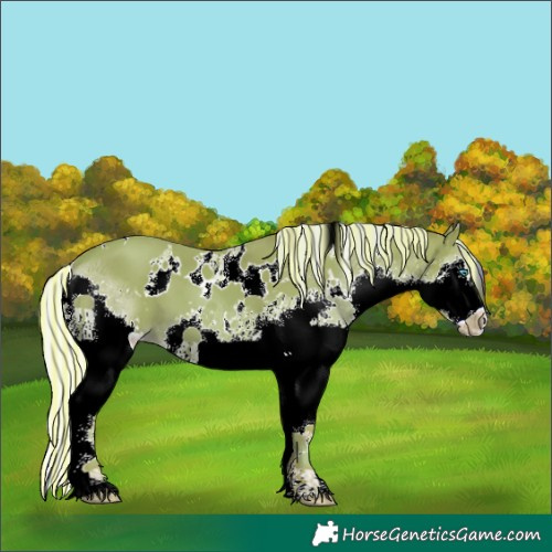 Horse Color:Painted White Spotted Silver Amber Champagne Splash