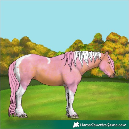Horse Color:Watercolor Bay Tobiano 
