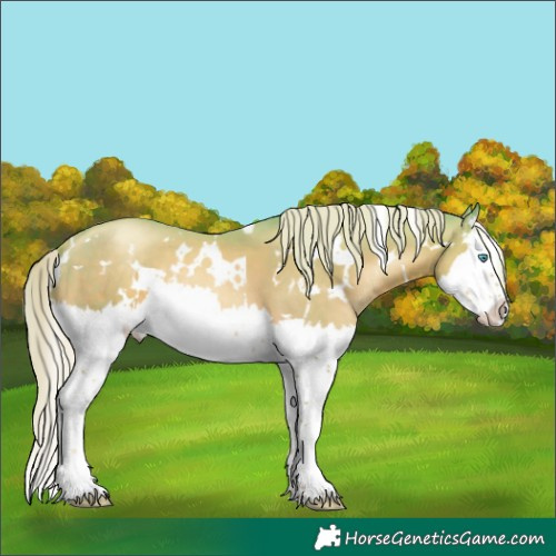 Horse Color:Watercolor White Spotted Liver Chestnut Snowdrop Splash 