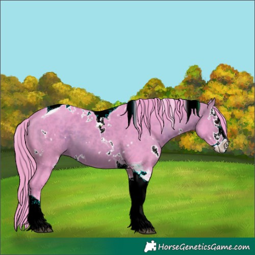Horse Color:Watercolor White Spotted Bay Splash Tobiano