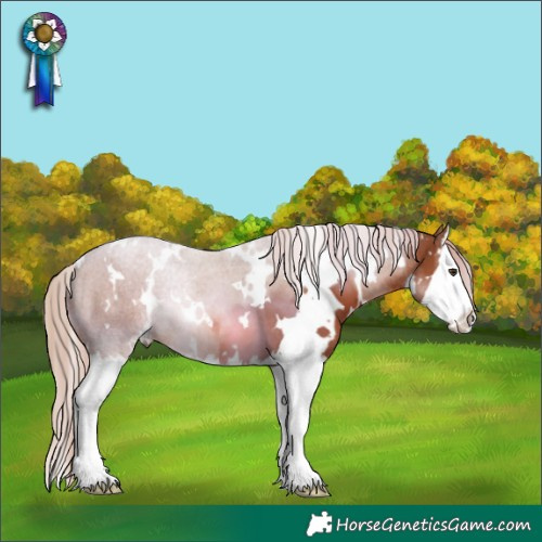 Horse Color:White Spotted Chestnut Splash