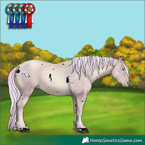 Horse Color:Watercolor White Spotted Chestnut Snowdrop