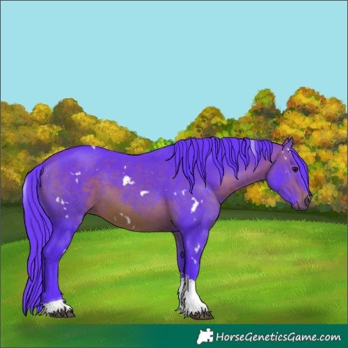 Horse Color:Watercolor White Spotted Brown Tobiano 