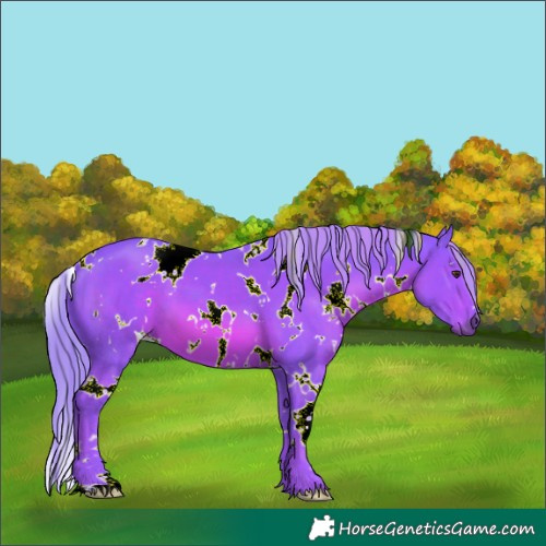 Horse Color:Watercolor White Spotted Chestnut
