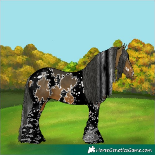 Horse Color:White Spotted Bay Tobiano 