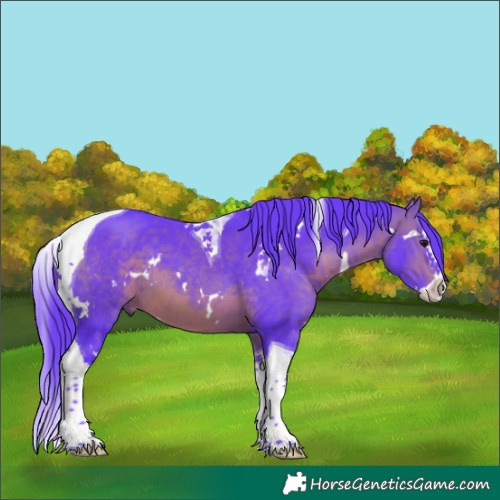 Horse Color:Watercolor White Spotted Brown Splash Tobiano