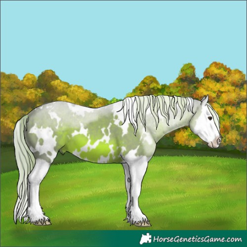 Horse Color:Watercolor White Spotted Chestnut Splash 