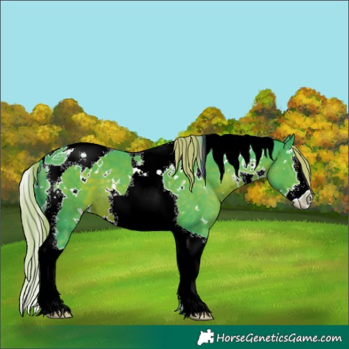 Horse Color:Watercolor White Spotted Liver Chestnut Splash Tobiano