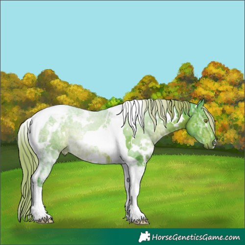Horse Color:Watercolor White Spotted Liver Chestnut Ice Tobiano