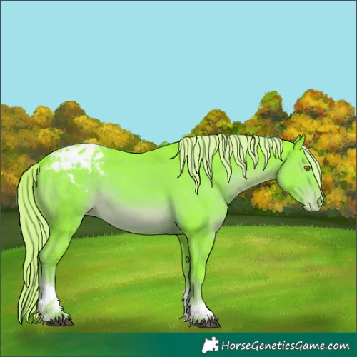 Horse Color:Watercolor Liver Chestnut Tobiano Appaloosa