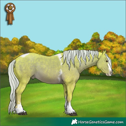 Horse Color:Watercolor Chocolate Palomino Sabino Splash Tobiano 